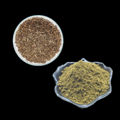 AjugaのTurkestanicaのエキスの草のエキスの粉のTurkesteroneの粉は2% 10% 20%を補う