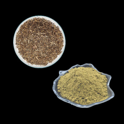 Ajuga Turkestanicaはボディー ビルのためのTurkesterone 2% 3% 4% 10%の粉を得る