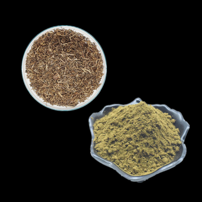 純粋なAjuga Turkestanicaはボディービルのための2% 10% Turkesteroneの粉の使用を得る