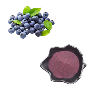 純粋で自然なフルーツの粉のブルーベリーの粉のエキスのアントシアニンBilberryのエキスの粉