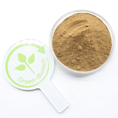 高品質の純天然デンドロビウム抽出物 デンドロビン粉