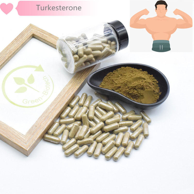 500mg トゥルケスタニカの自然な植物のエキス