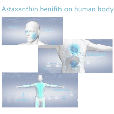 CAS 7542-45-2 1% -健康な心配のための10%のアスタキサンチンの粉