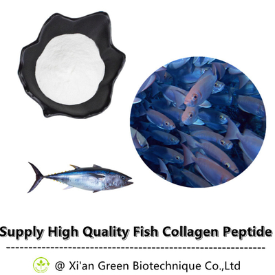 熱い販売の純粋な魚のコラーゲンのペプチッド粉の深海の魚のコラーゲンのペプチッド