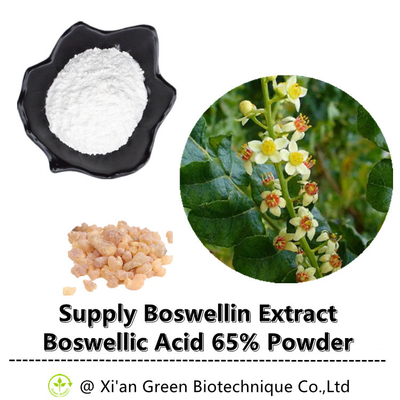 乳香の木BoswellinはBoswellic酸の65%の粉を得る