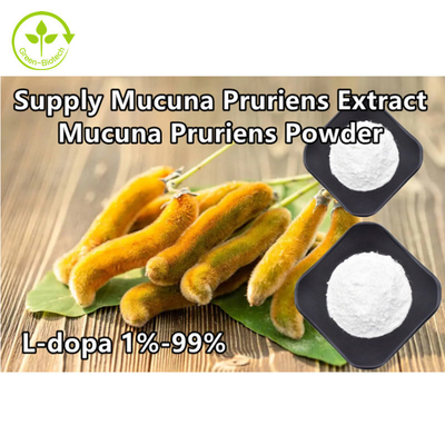 植物のMucuna Pruriensは98% 99%のLドーパの粉を得る