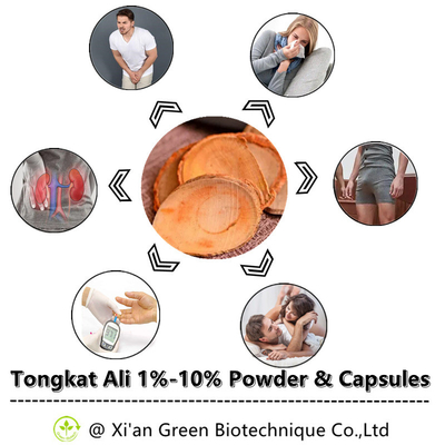 1% - 10%の植物のエキスは性の欲求のためのTongkatアリのカプセルを粉にする