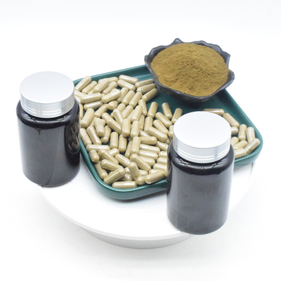 OEMのAjugaのTurkestanicaのエキスは2% 10% 500mg Turkesteroneのカプセルを粉にする