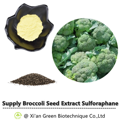 ブロッコリーの種のエキスのSulforaphaneのGlucosinolate CAS 21414-41-5 13% Glucoraphaninの粉