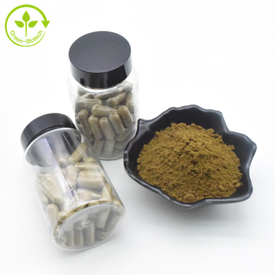 植物のエキスのAjugaのTurkestanicaのエキスは10% 500mg/60caps/Bottle Turkesteroneのカプセルを粉にする
