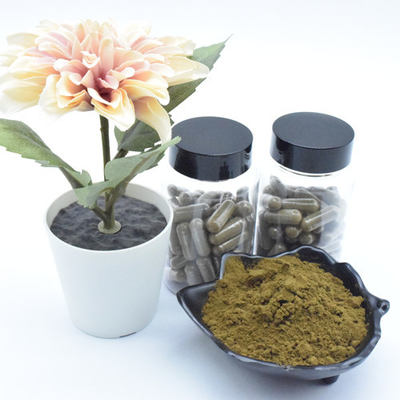 植物のエキスのAjugaのTurkestanicaのエキスは40% 500mg/60caps/Bottle Turkesteroneのカプセルを粉にする