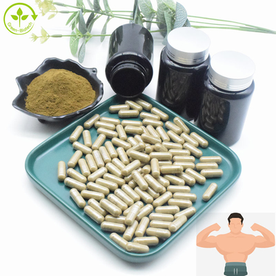 AjugaのTurkestanicaのエキス卸し売りバルク2% 10% CAS 41451-87-0 TurkesteroneのエキスのTurkesteroneの粉