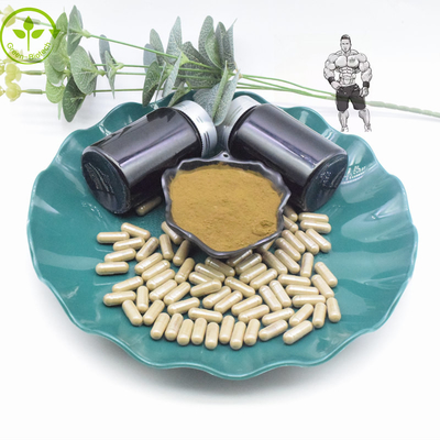 純粋な10% 40% Turkesteroneのエキスの粉800mg 1000mg Turkesteroneのカプセル