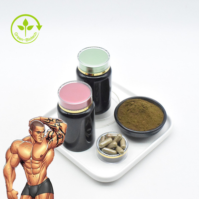 TurkestanicaがTurkesterone 10%を得る100%の自然なAjugaはTurkesteroneの純粋な粉を要約する