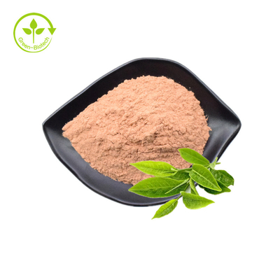 食品等級の緑の茶葉のエキスのポリフェノール98%のカテキン80% Egcg 60%のバルク粉