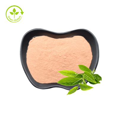 緑茶は20% 30%自然なL-Theanineの粉を得る