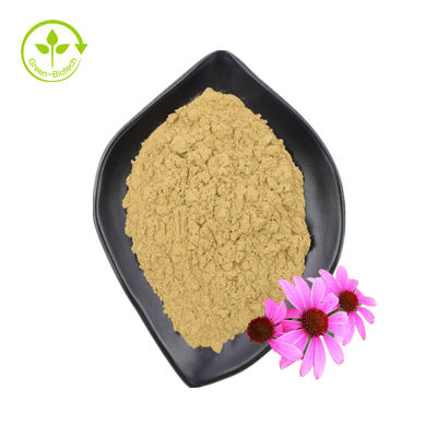GMP基準高品質ポリフェノール エキナセアプルプレアパウダー エキナセアプルプレアエキス