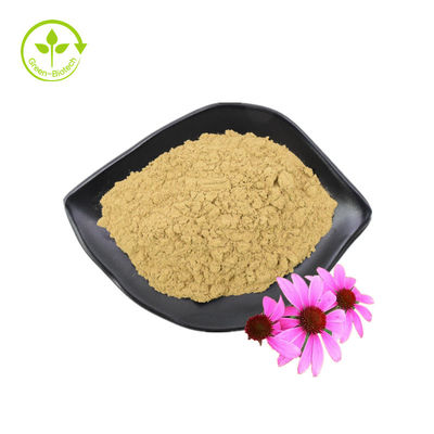 GMP基準高品質ポリフェノール エキナセアプルプレアパウダー エキナセアプルプレアエキス