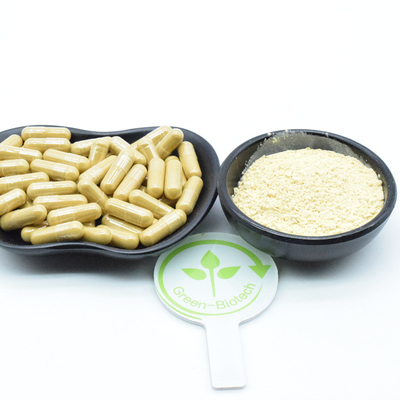 25kg/ドラム 天然植物抽出 Ginseng Root Extract ジンセノシド