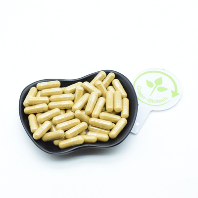 天然発酵 Ginseng 全根切片粉末抽出物