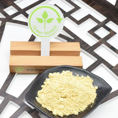 大量 破裂 細胞 壁 パイン 花粉 粉 抽出 パイン 花粉 良い 価格