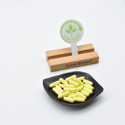 天然松粉抽出物 Pinus Massoniana抽出物 粉末