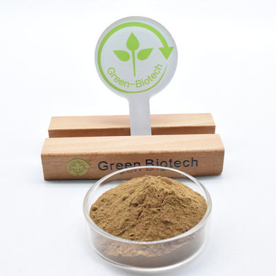 高品質の純天然デンドロビウム抽出物 デンドロビン粉