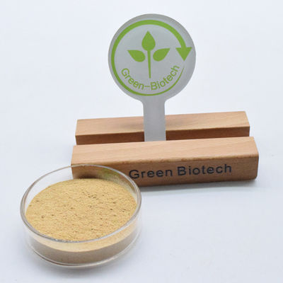 純粋なサイアノティス アラクノイド 根抽出 エクディステロン 98% ベータ エクディステロン 粉