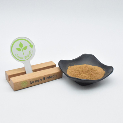 工場 供給 自然 植物 抽出物 高品質 茶色 黄色 マカ 抽出物 粉