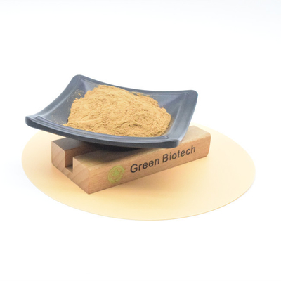 供給 自然 植物 抽出物 高品質 食品 グレード マカ 根 抽出物 粉